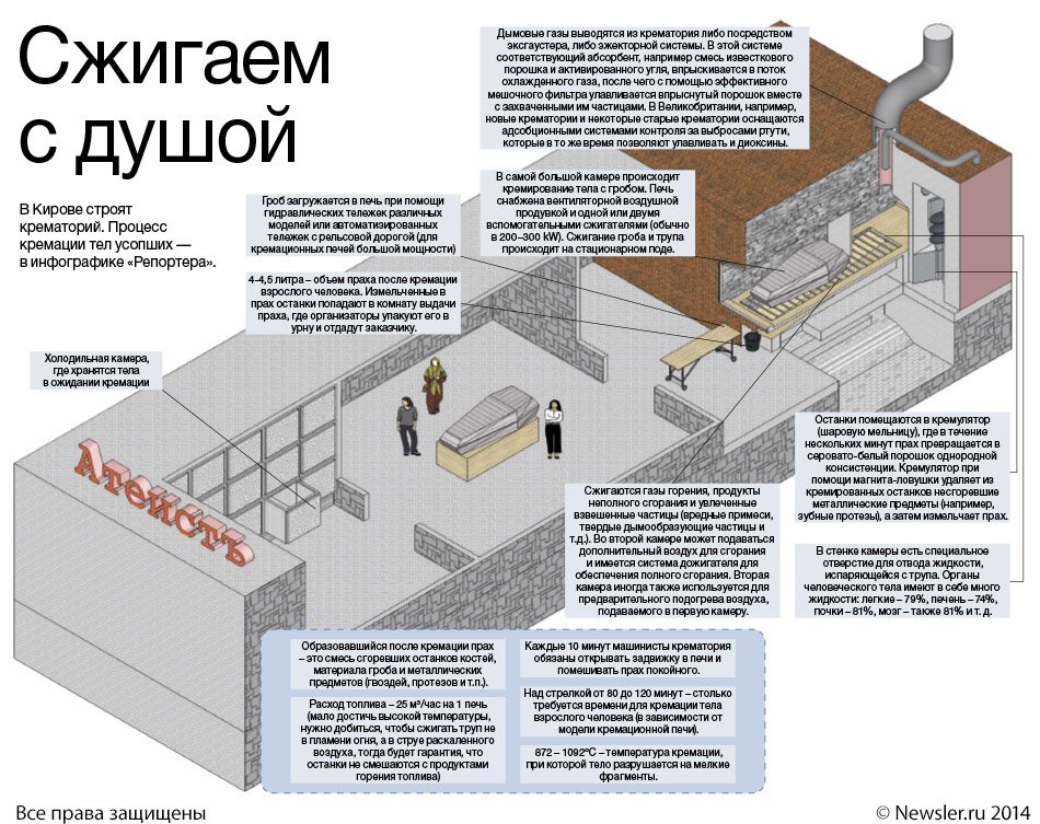 article preview